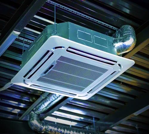 Professional Service